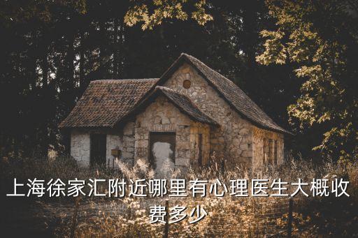 上海徐家匯附近哪里有心理醫(yī)生大概收費多少
