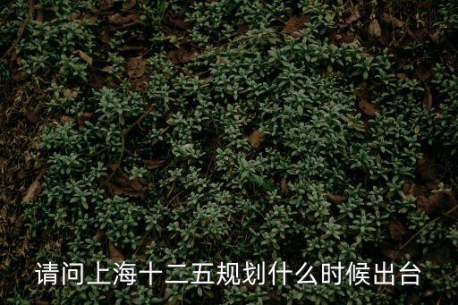上海市長2011年，請問上海十二五規劃什么時候出臺