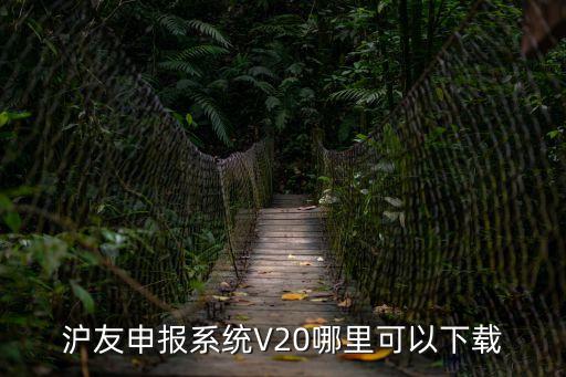 上海市企業(yè)申報(bào)軟件下載，滬友申報(bào)系統(tǒng)V20哪里可以下載
