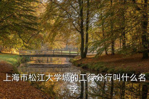 工行上海分行 上海市，上海市松江大學城的工行分行叫什么名字