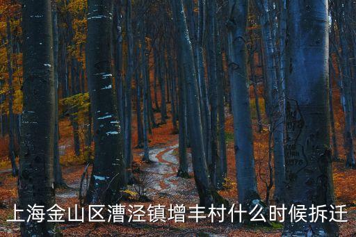 上海金山區(qū)漕涇鎮(zhèn)增豐村什么時(shí)候拆遷
