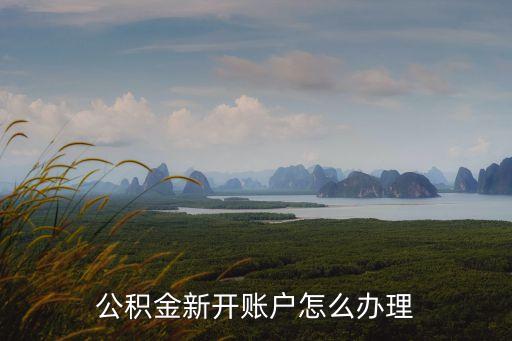 公積金新開賬戶怎么辦理
