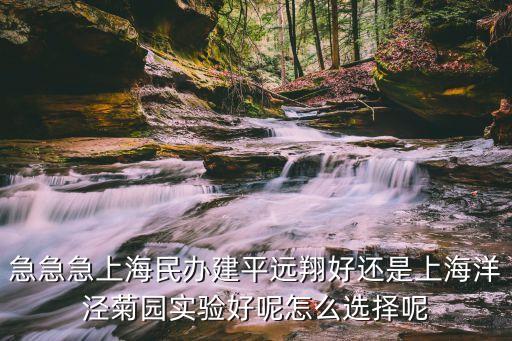 急急急上海民辦建平遠翔好還是上海洋涇菊園實驗好呢怎么選擇呢