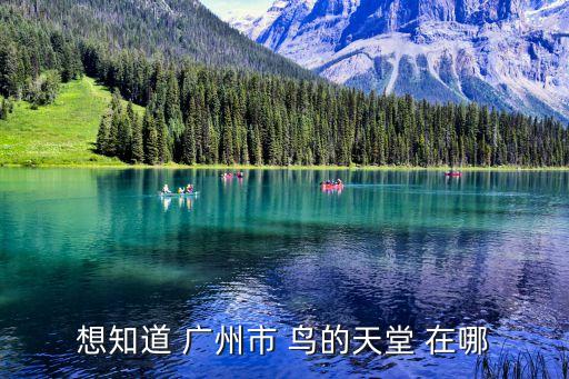 想知道 廣州市 鳥的天堂 在哪