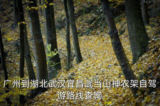 廣州到湖北武漢宜昌武當山神農架自駕游路線查詢