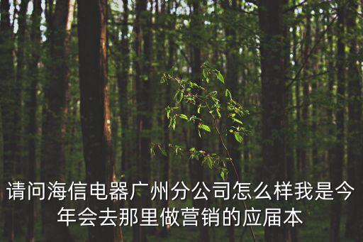 請問海信電器廣州分公司怎么樣我是今年會去那里做營銷的應屆本