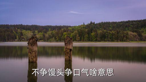 不爭(zhēng)饅頭爭(zhēng)口氣，歇后語不蒸饅頭爭(zhēng)口氣的上一句是什么