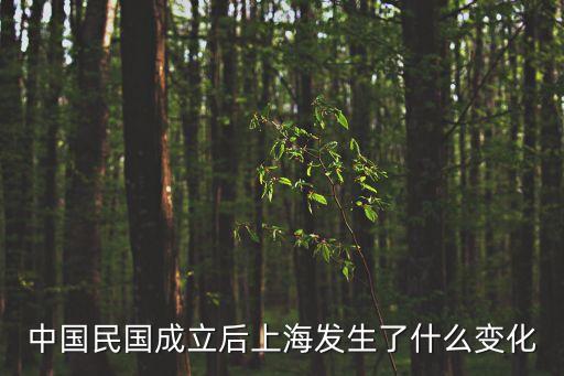 中國民國成立后上海發(fā)生了什么變化