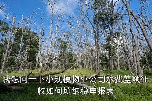 上海市差額征稅怎么填寫報表，差額征稅開具紅字發票申報表該如何填寫