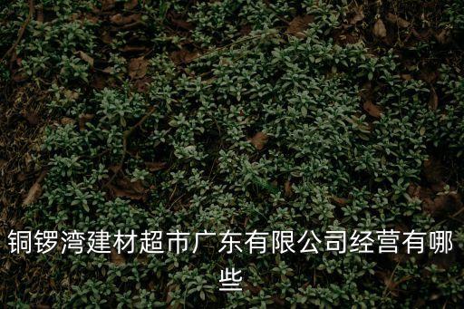 銅鑼灣建材超市廣東有限公司經(jīng)營有哪些