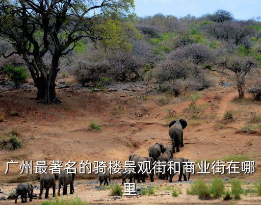 廣州最新騎樓街規劃，海珠區邊到有騎樓啊