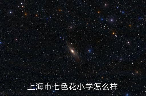上海市七色花小學怎么樣