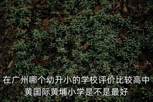 在廣州哪個幼升小的學校評價比較高中黃國際黃埔小學是不是最好