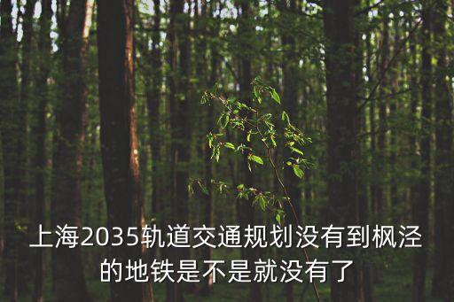 上海2035軌道交通規劃沒有到楓涇的地鐵是不是就沒有了