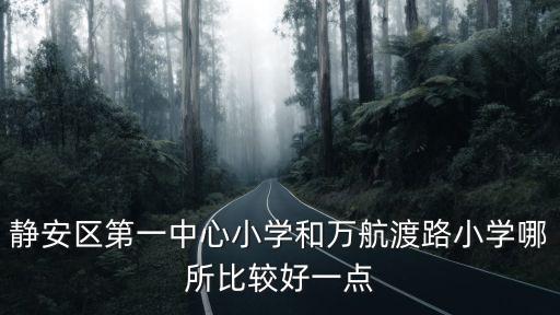 靜安區第一中心小學和萬航渡路小學哪所比較好一點