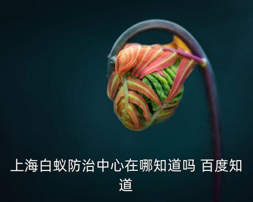 上海市靜安區(qū)白蟻防治，上海靜安區(qū)滅白蟻防治公司比較好