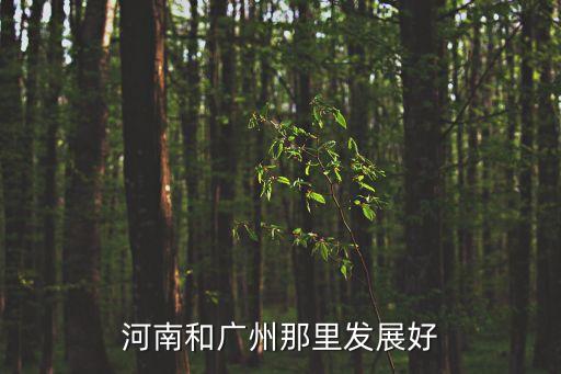 廣州和鄭州發展前景，河南和廣州那里發展好