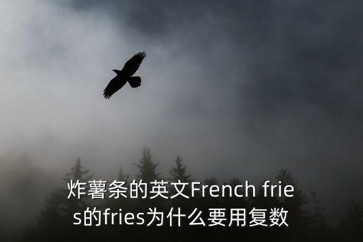 炸薯條的英文French fries的fries為什么要用復數(shù)