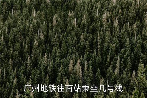 廣州南站屬于地鐵哪一條線，廣州地鐵往南站乘坐幾號線