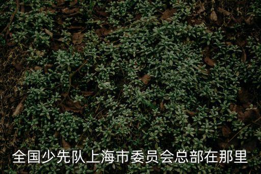 全國(guó)少先隊(duì)上海市委員會(huì)總部在那里