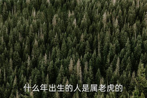 屬虎是哪年出生的，屬老虎的是六幾年生的