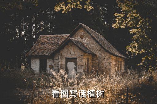 植樹節看圖寫話，植樹節以畫促寫200字