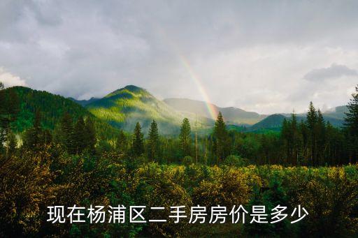 現在楊浦區二手房房價是多少