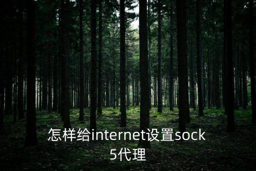 socks代理，用sock5代理上網步驟