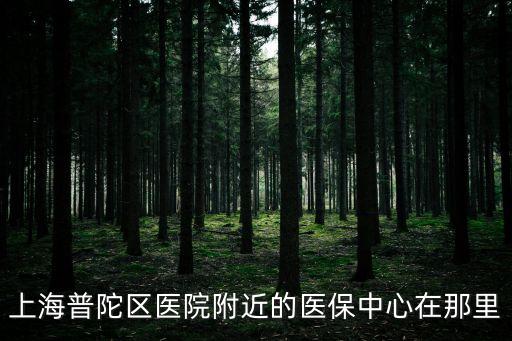 上海市普陀醫(yī)保中心，上海普陀區(qū)醫(yī)保中心在那