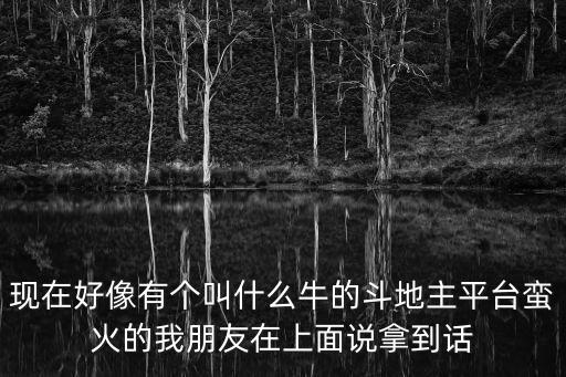 現(xiàn)在好像有個(gè)叫什么牛的斗地主平臺(tái)蠻火的我朋友在上面說(shuō)拿到話(huà)