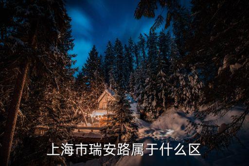 上海市瑞安路屬于什么街道，上海市瑞安路屬于什么區