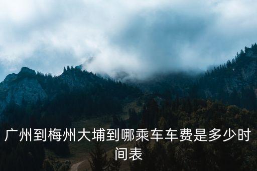 廣州到梅州大埔到哪乘車車費是多少時間表