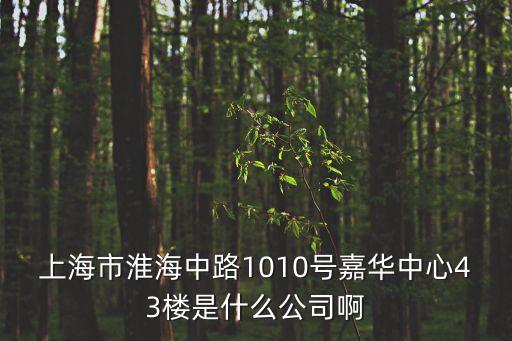 上海市淮海中路1010號嘉華中心43樓是什么公司啊