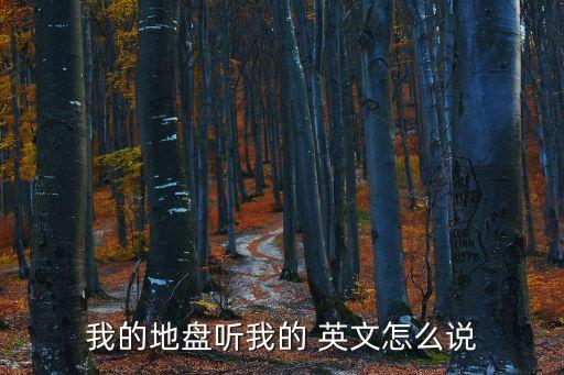 我的地盤聽我的 英文怎么說