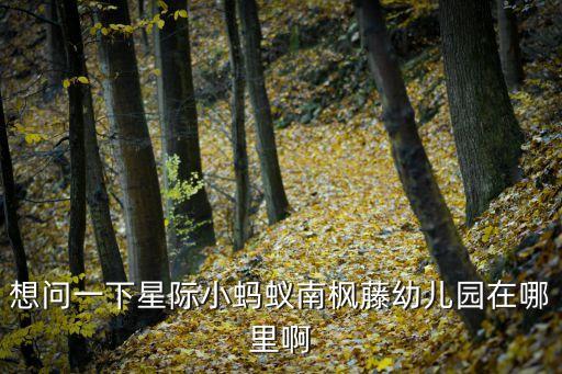 想問一下星際小螞蟻南楓藤幼兒園在哪里啊