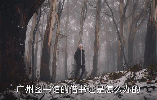 廣州圖書館的借書證是怎么辦的