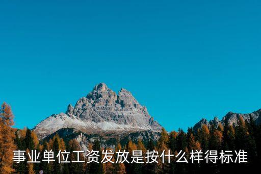 事業(yè)單位工資發(fā)放是按什么樣得標(biāo)準(zhǔn)