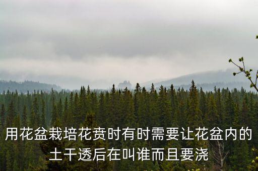 用花盆栽培花賁時(shí)有時(shí)需要讓花盆內(nèi)的土干透后在叫誰而且要澆