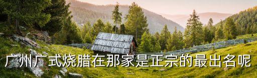廣州30多年燒臘店，廣州廣式燒臘在那家是正宗的最出名呢