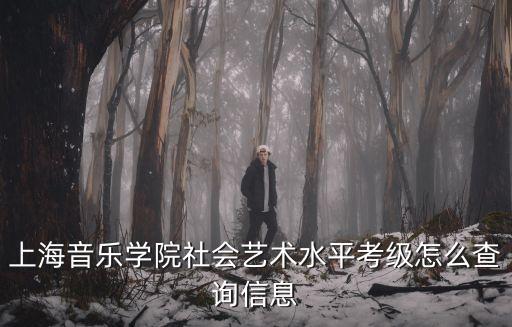 上海音樂(lè)學(xué)院社會(huì)藝術(shù)水平考級(jí)怎么查詢(xún)信息