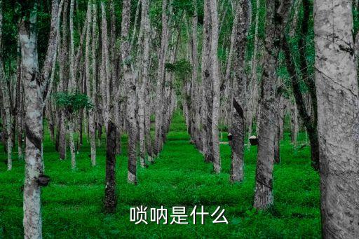 瑣吶，嗩吶屬于什么樂器
