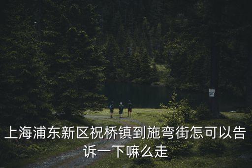 上海浦東新區(qū)祝橋鎮(zhèn)到施彎街怎可以告訴一下嘛么走