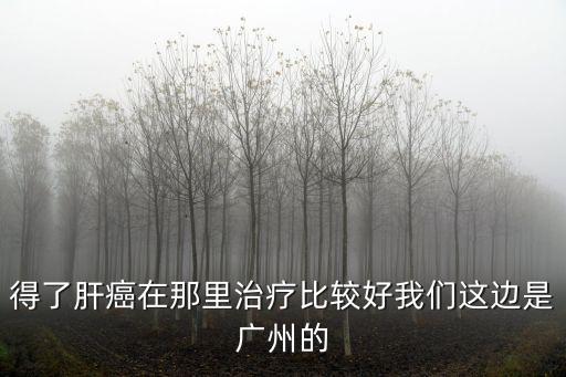 得了肝癌在那里治療比較好我們這邊是廣州的