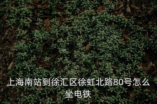 上海南站到徐匯區徐虹北路80號怎么坐電鐵