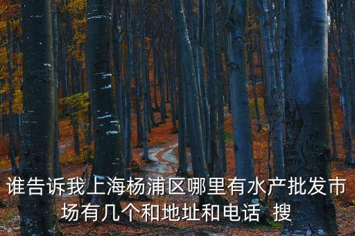 上海市江陽兆路水產市場屬于哪個區，上海市寶山區江陽水產市場搬遷近況