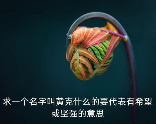 黃克強，誰知道電視劇白屋之戀的插曲