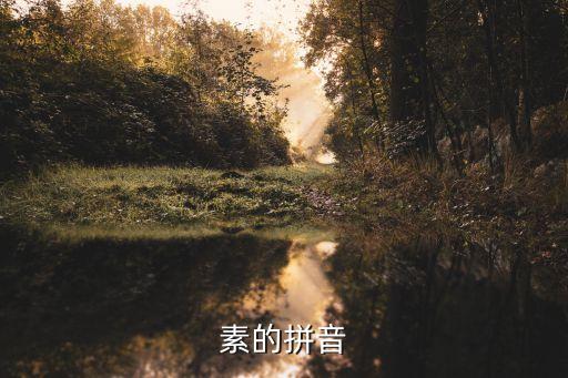 素字，素有的素字是什么意思
