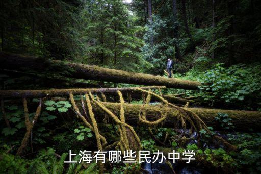 上海有哪些民辦中學(xué)