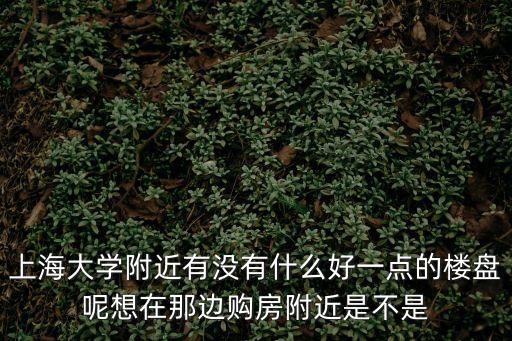 上海大學(xué)附近有沒有什么好一點的樓盤呢想在那邊購房附近是不是
