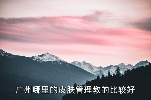 廣州哪里的皮膚管理教的比較好
